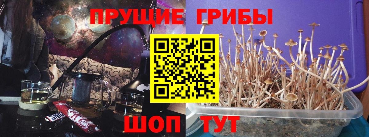 как найти наркотики  Вход с VPN  Кумертау  Псилоцибиновые грибы мухоморы 